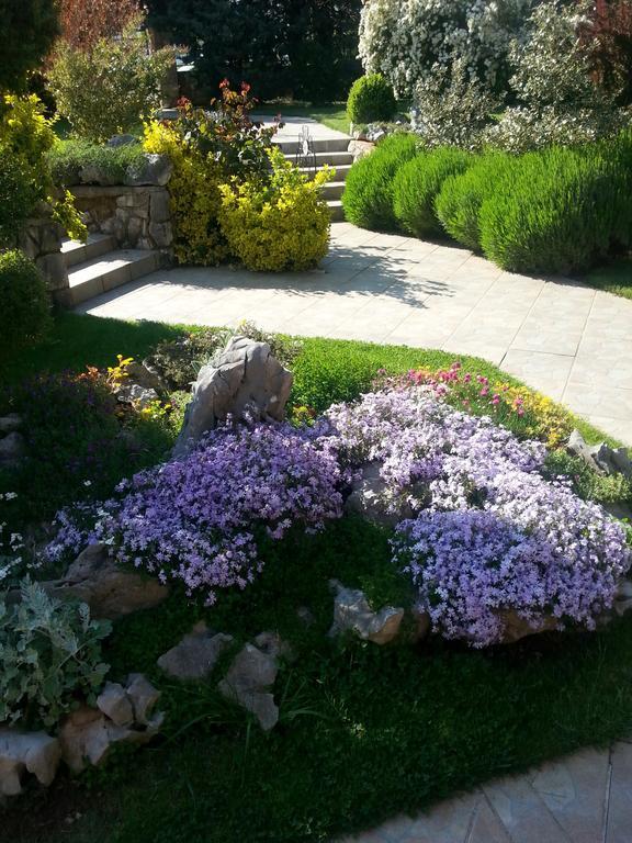 Villa Steffani Labin  Dış mekan fotoğraf